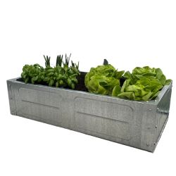 Adman Multigrow Medium Planter (only available to order with an Adman Multigrow Greenhouse)