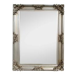 Mirror Champagne 60 X 90Cm