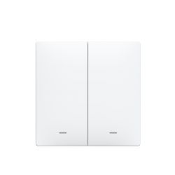 Smart 2 Gang Smart Push Button Switch, APP & Voice Control