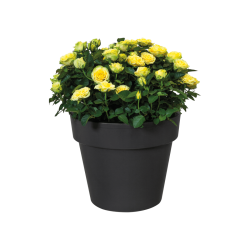 Green Basics Top Planter High 35cm Black