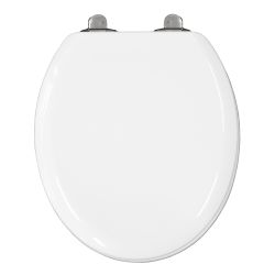Bemis Michigan Slow Close Toilet Seat White